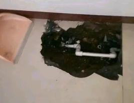 黄骅卫生间测漏水多少钱